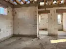 Pest megye - Dabas