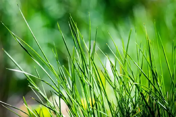 Eladó újszerű családi ház, Abony 3 szoba 20 m² 500 M Ft