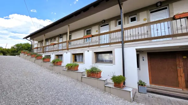 Eladó újszerű családi ház, Balatongyörök 20+10 szoba 850 m² 580 M Ft
