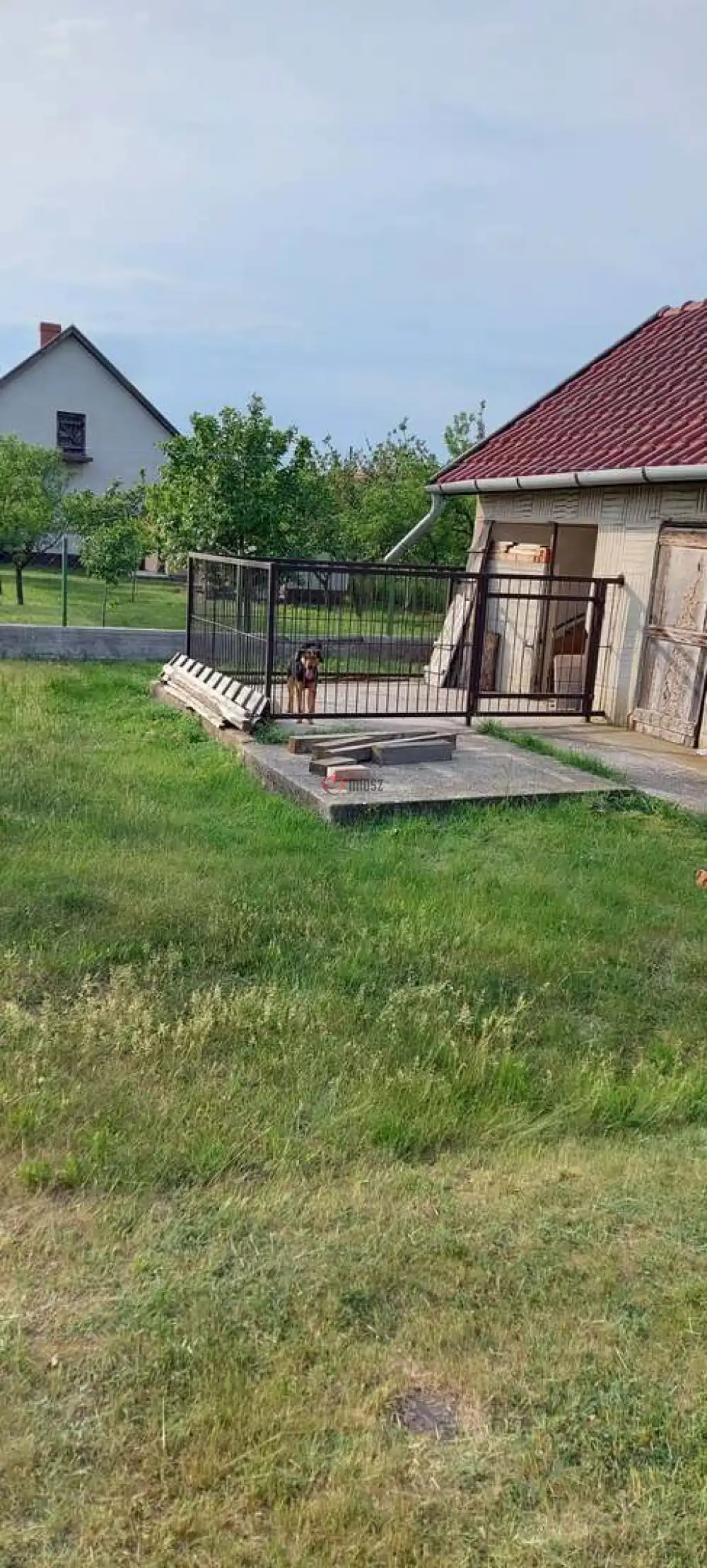 Békés megye - Bucsa