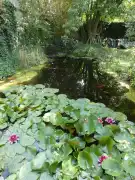 Pest megye - Gödöllő