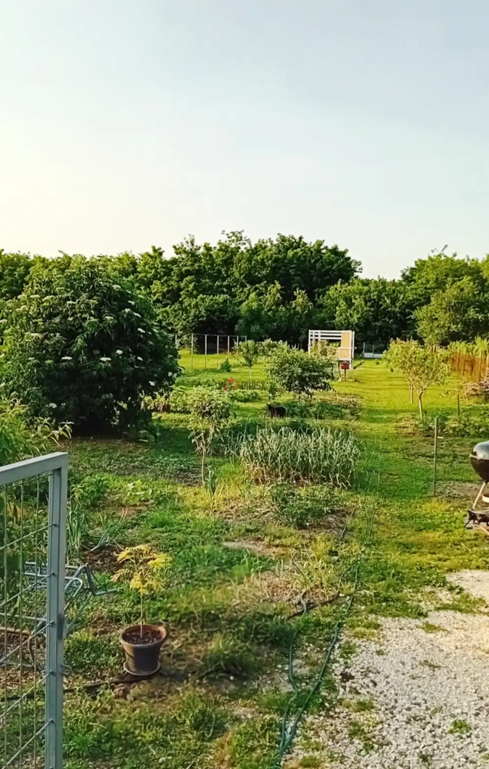 Somogy megye - Siójut