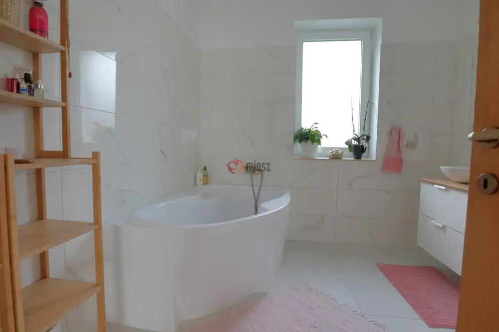 Csongrád megye - Szeged