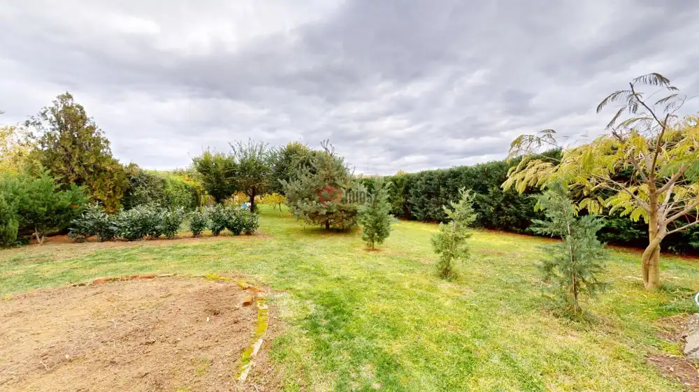 Borsod-Abaúj-Zemplén megye - Tarcal