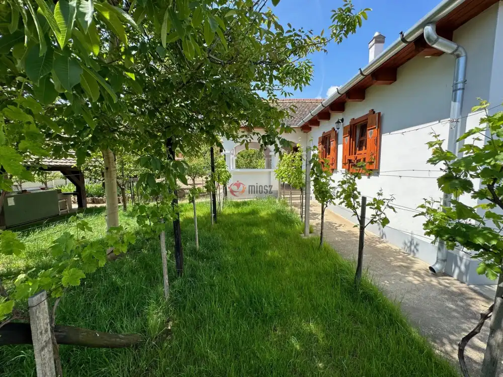 Pest megye - Vác