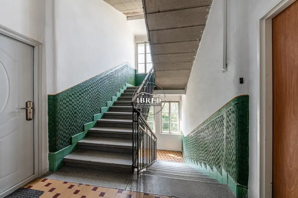 Budapest, XII. kerület - Budakeszierdő