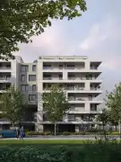 MOGYORÓDI11 - Törökőr