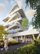 Paskal Rose2 - Alsórákos